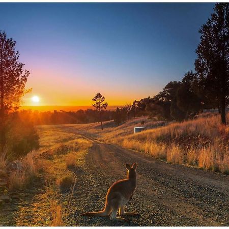 Bulwarra Bed & Breakfast Dubbo Luaran gambar