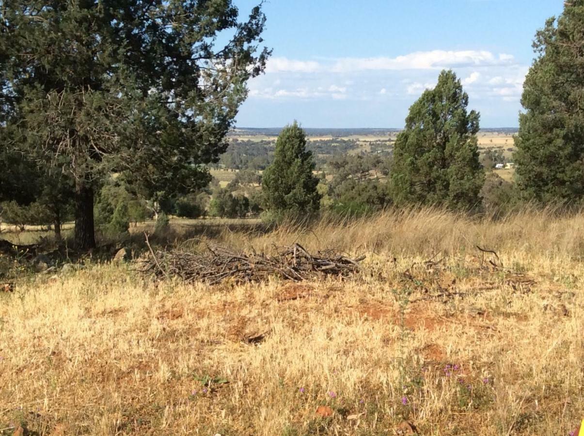 Bulwarra Bed & Breakfast Dubbo Luaran gambar
