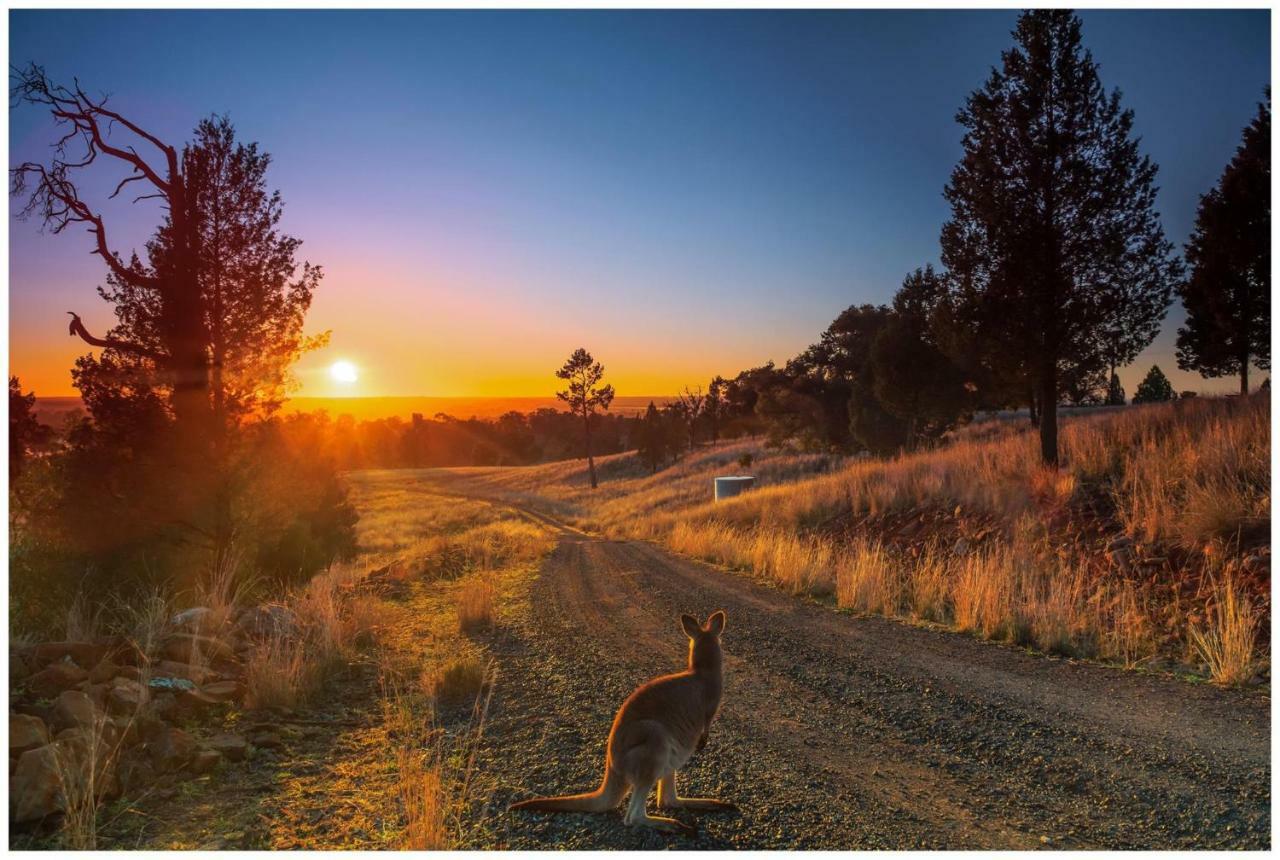 Bulwarra Bed & Breakfast Dubbo Luaran gambar